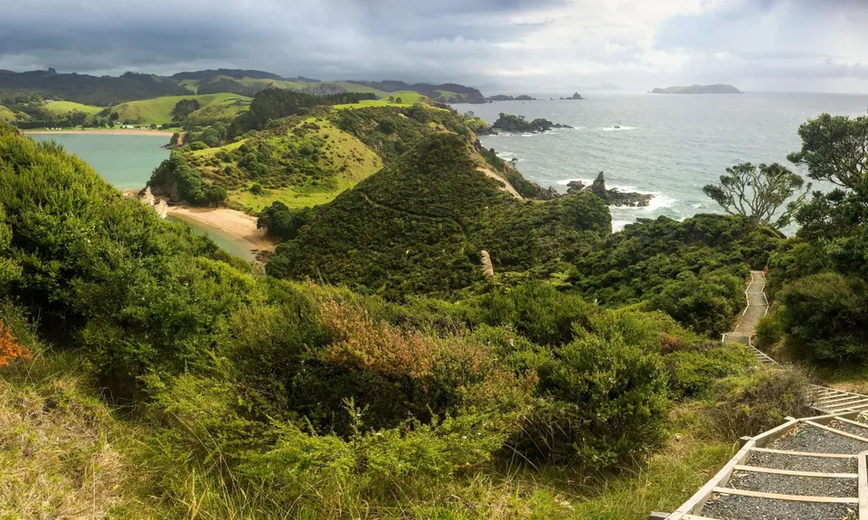 Mahinepua Peninsula Track, Northland