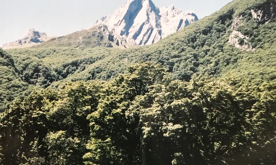 Dasler Pinnacles