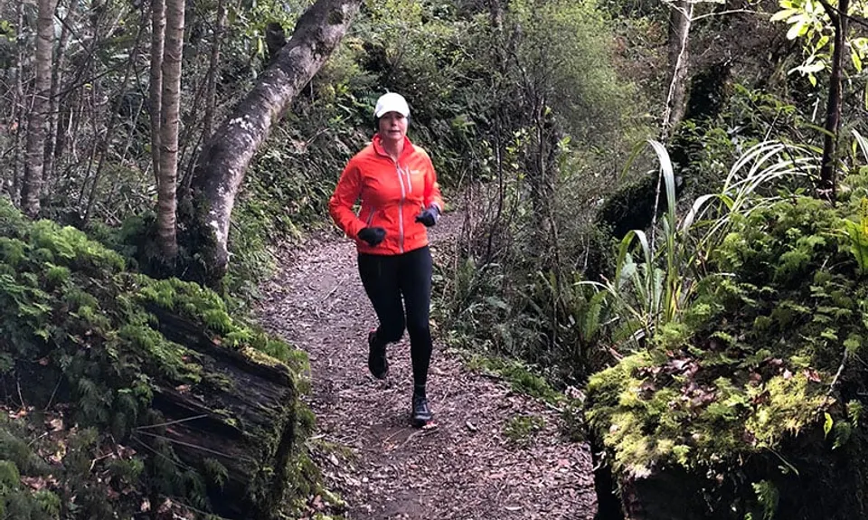 Pillars of Hercules , Waikato