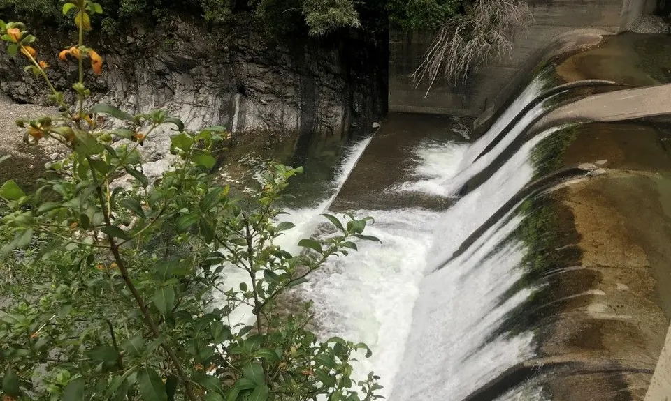 Norbett Creek Loop, Wellington