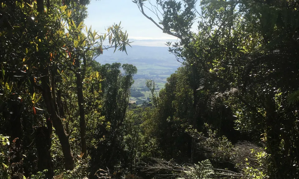 Maungatautari crazy 8, Waikato