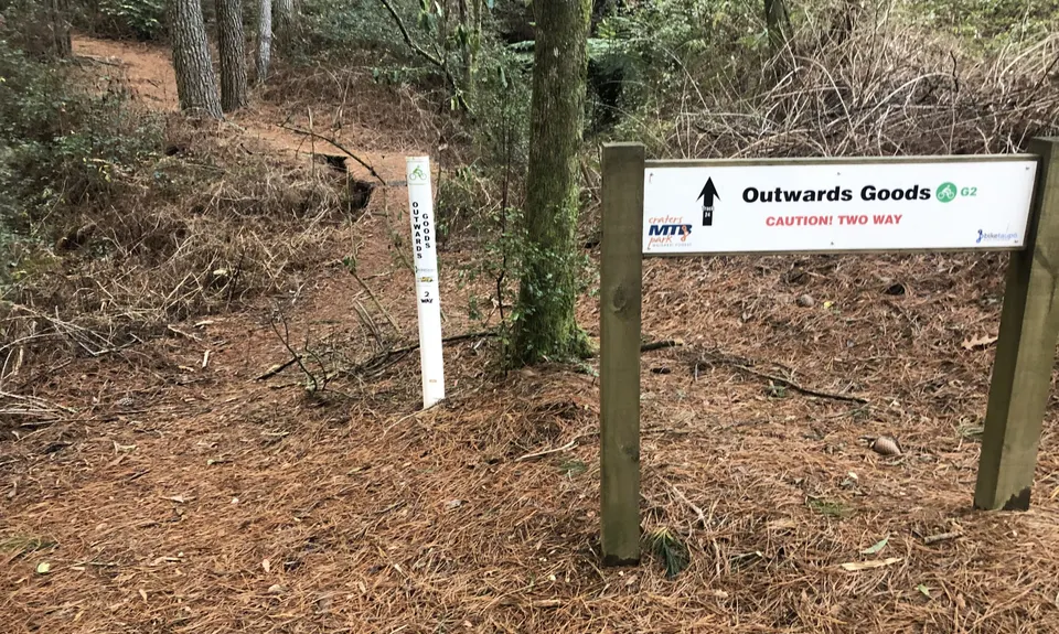 Craters Intro, Waikato