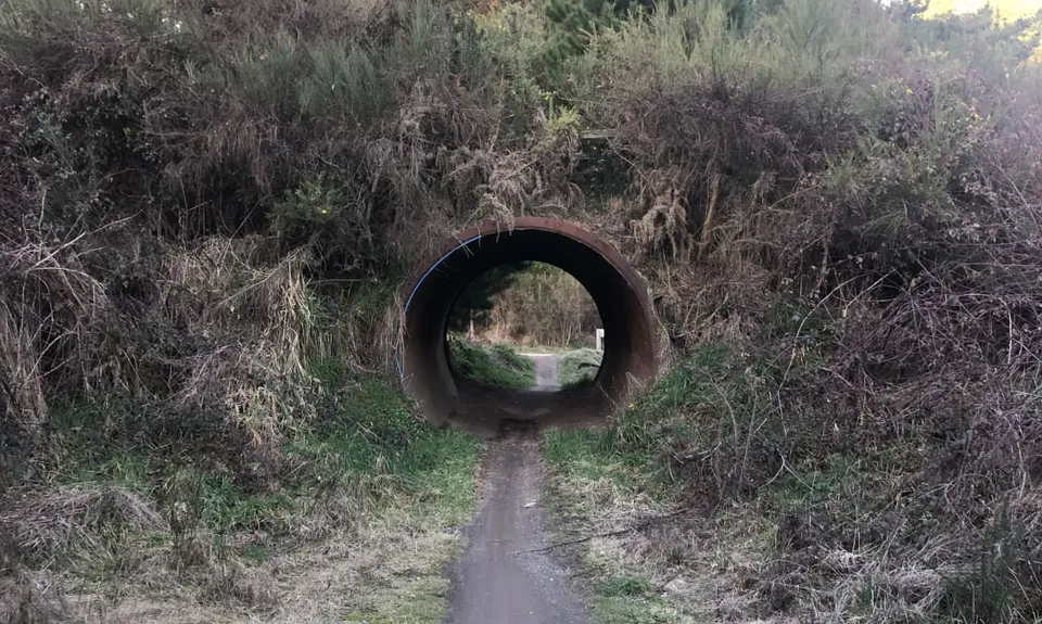 Craters Intro, Waikato