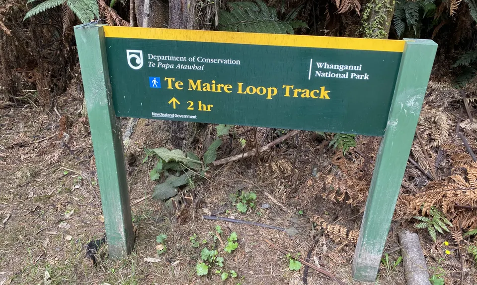 Te Maire Track, Manawatu - Wanganui