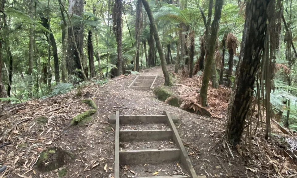 Te Maire Track, Manawatu - Wanganui