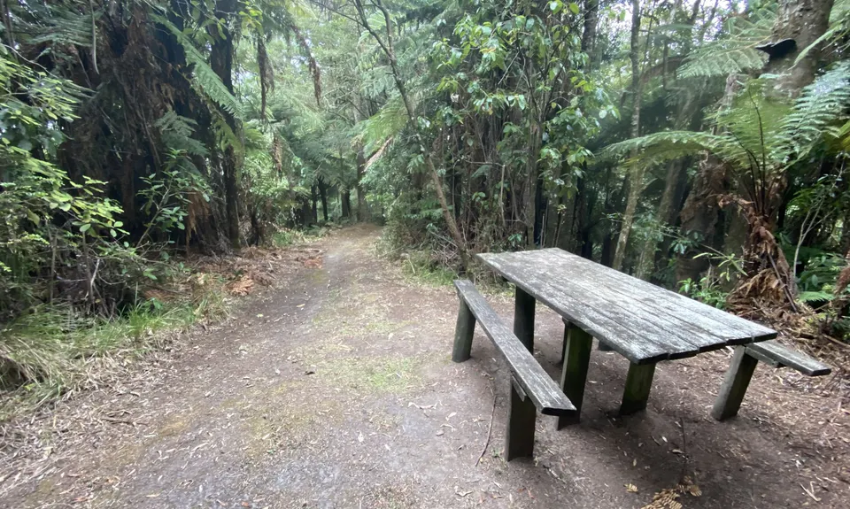 Te Maire Track, Manawatu - Wanganui