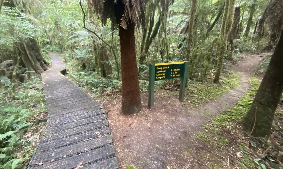 Te Maire Track, Manawatu - Wanganui