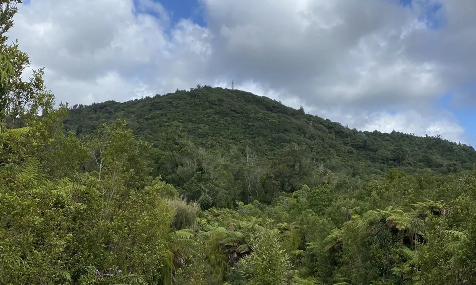 Rain Forest Romp at Pukeiti, Taranaki