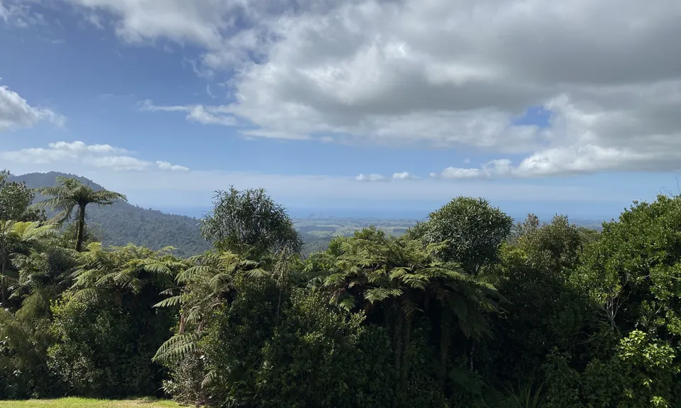 Rain Forest Romp at Pukeiti, Taranaki