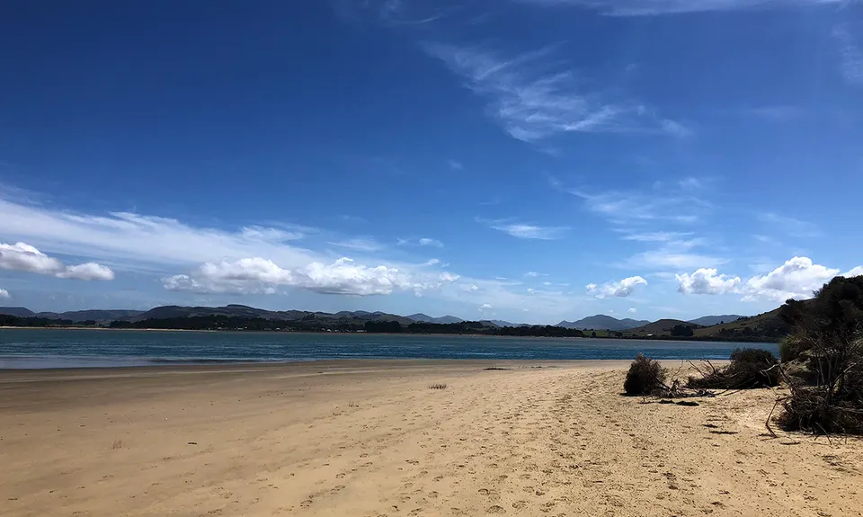 Sandhills, Cannibals & Sea-Lions, Otago