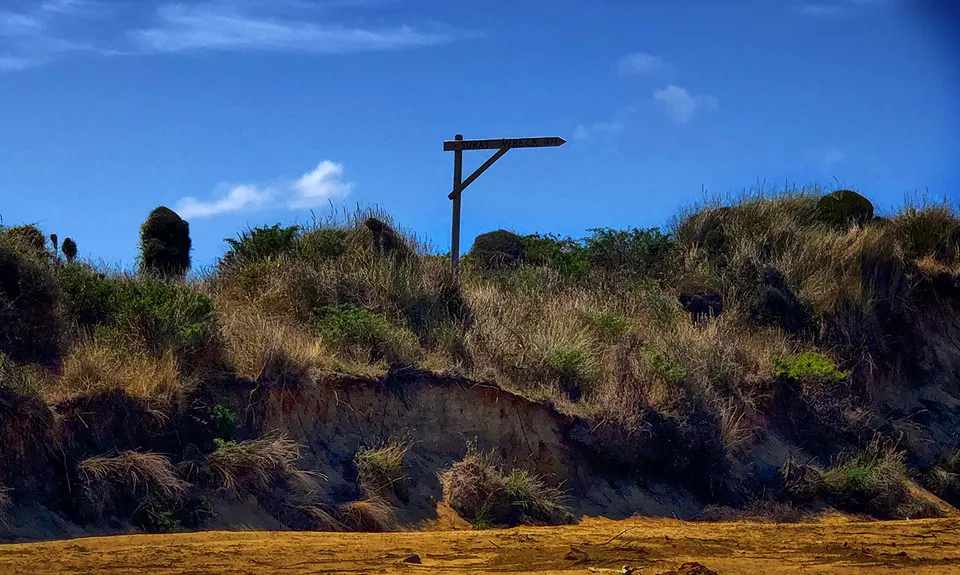 Sandhills, Cannibals & Sea-Lions, Otago