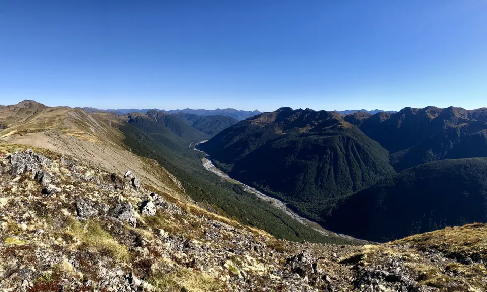 Lewis Tops, West Coast