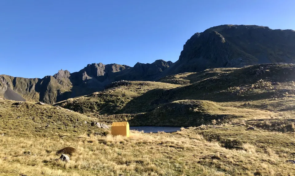 Lewis Tops, West Coast