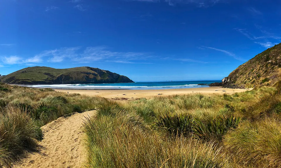 Sandhills, Cannibals & Sea-Lions, Otago