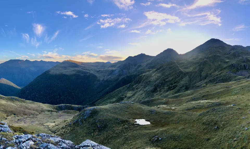 Lewis Tops, West Coast