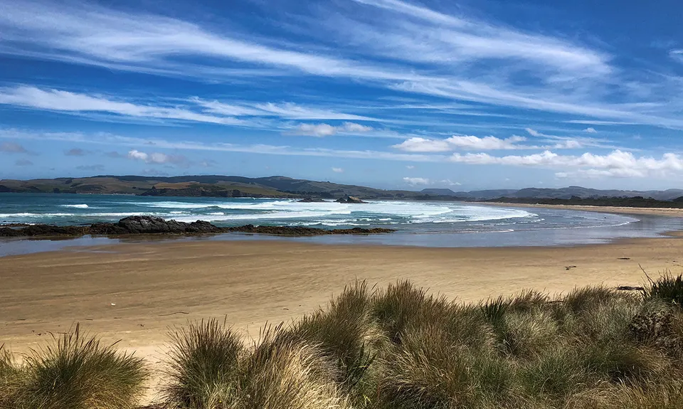 Sandhills, Cannibals & Sea-Lions, Otago