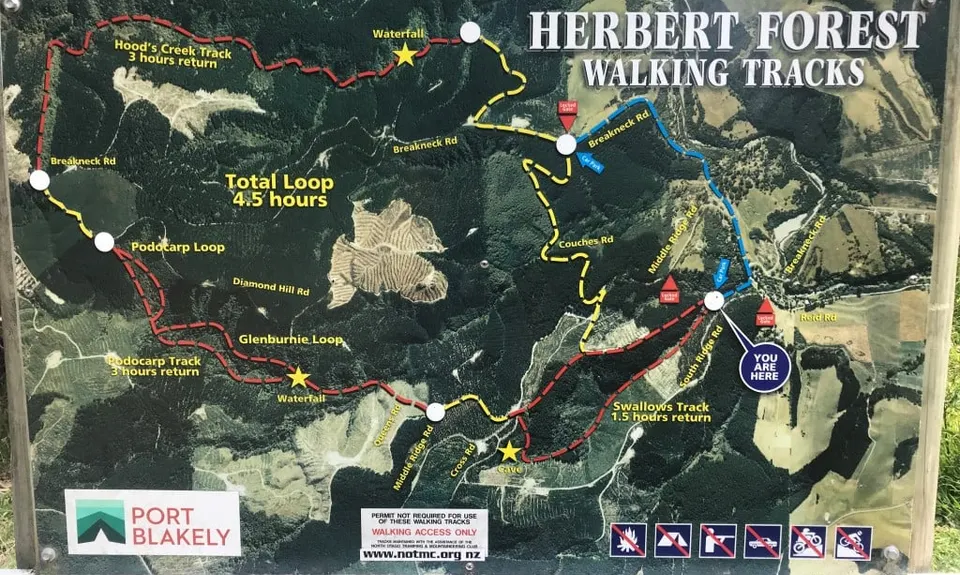 Herbert Dabs, Otago
