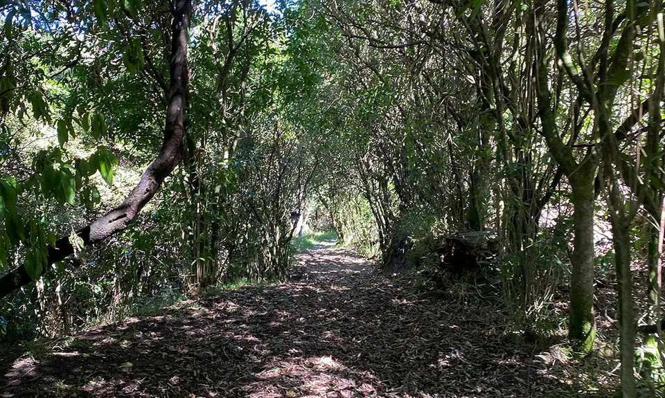SH1 Leg Stretcher , Waikato