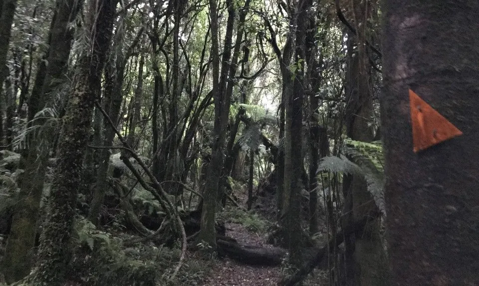 Mangakotukutuku Falls, Taranaki