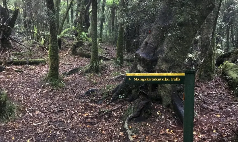 Mangakotukutuku Falls, Taranaki