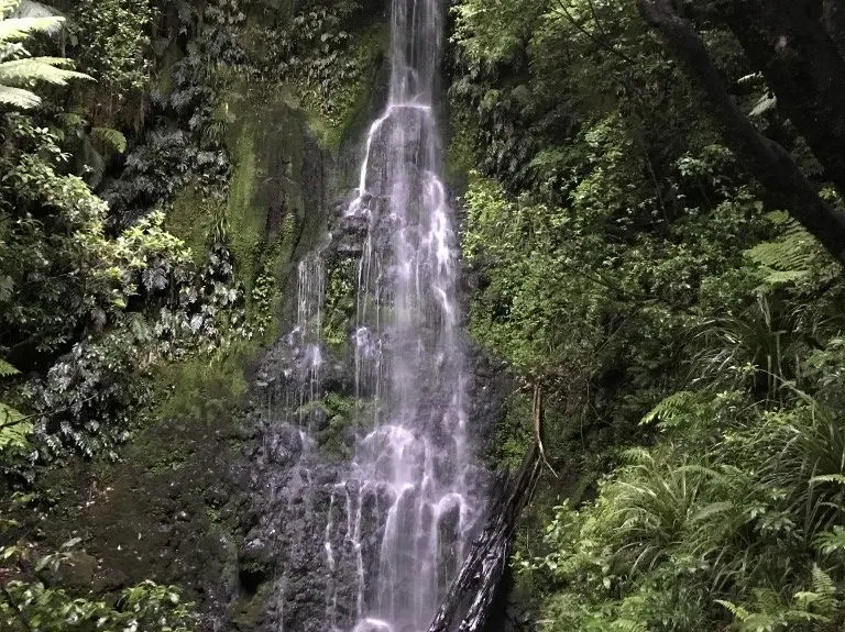 Mangakotukutuku Falls, Taranaki