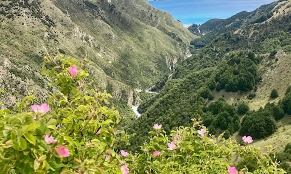 Timaru High River Track, Otago