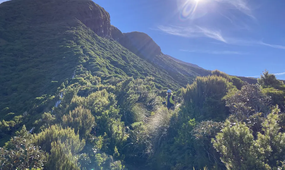 Taranaki RTM with a Twist, Taranaki