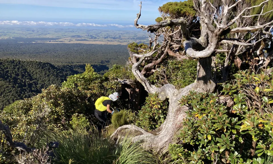 Taranaki RTM with a Twist, Taranaki
