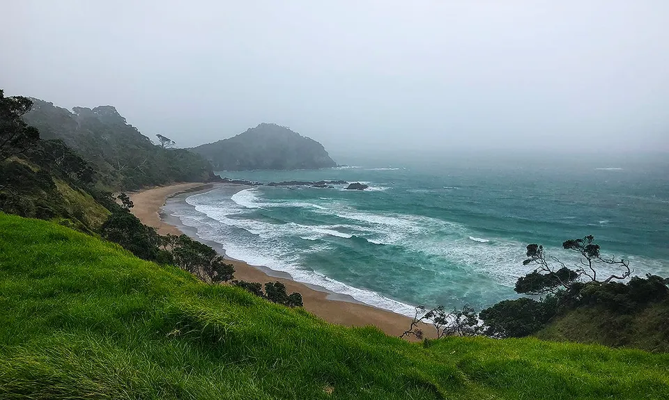 Whananaki Estuary and Bush, Northland