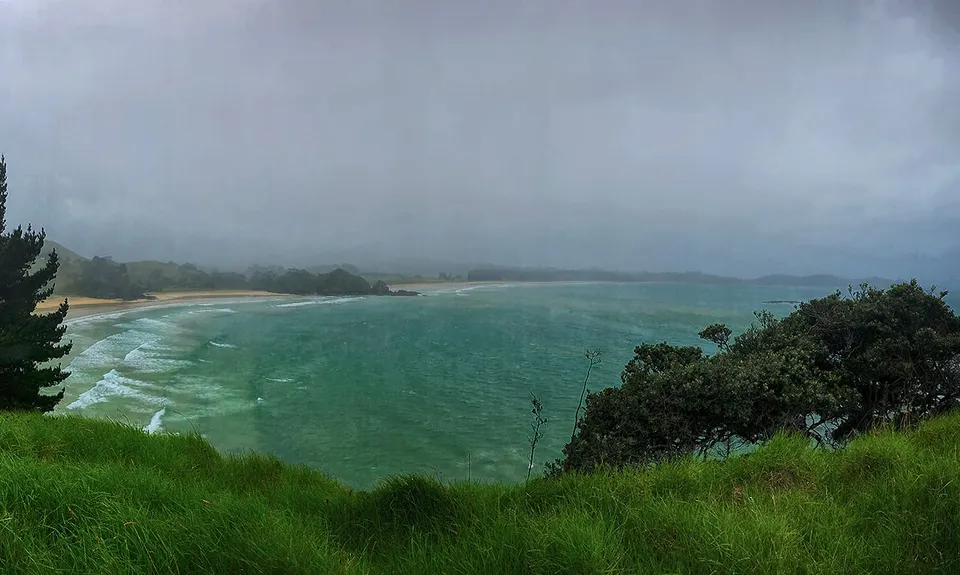Whananaki Estuary and Bush, Northland