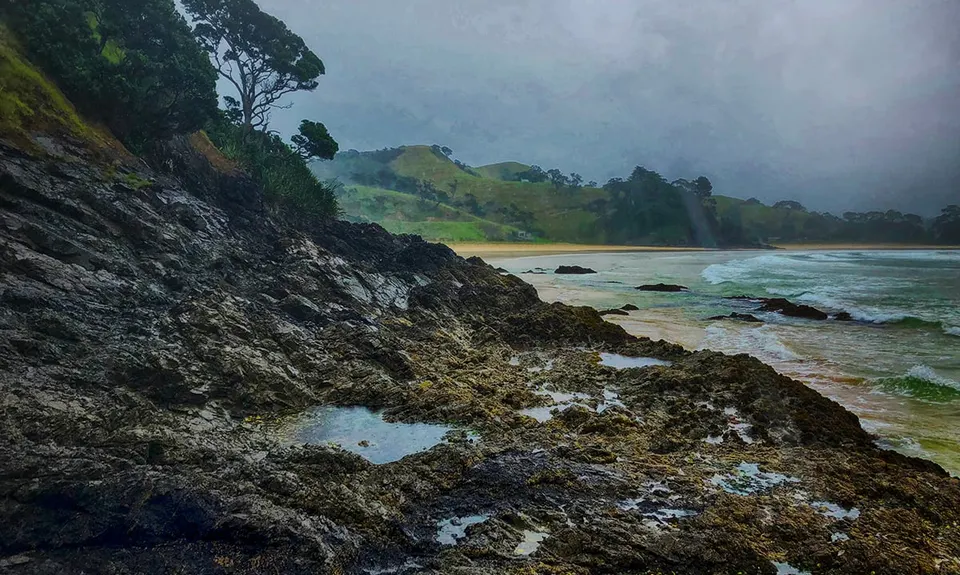 Whananaki Estuary and Bush, Northland