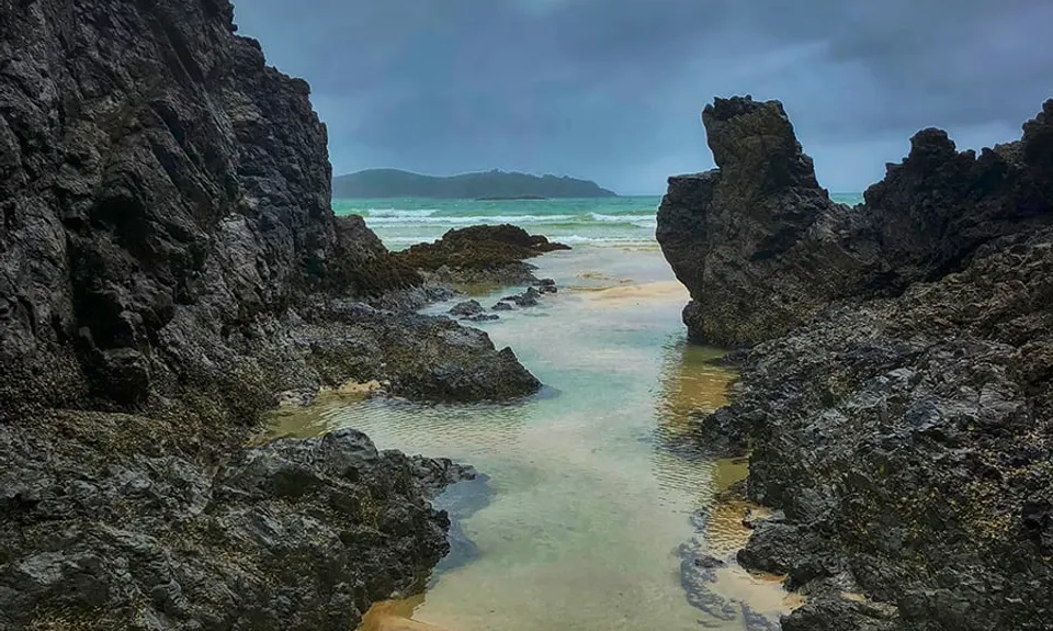 Whananaki Estuary and Bush, Northland