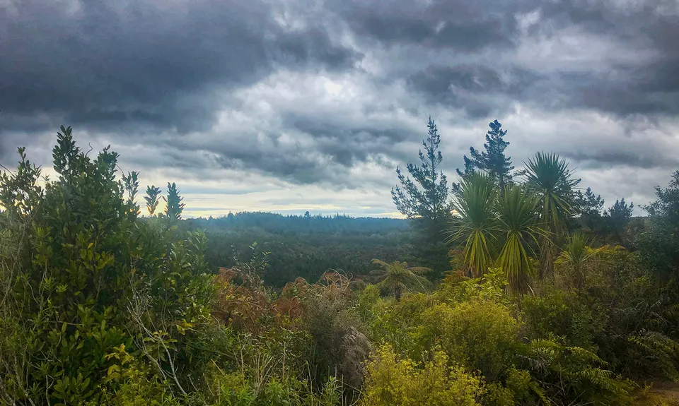 A Roundabout Way to the Lost Tank, Bay of Plenty