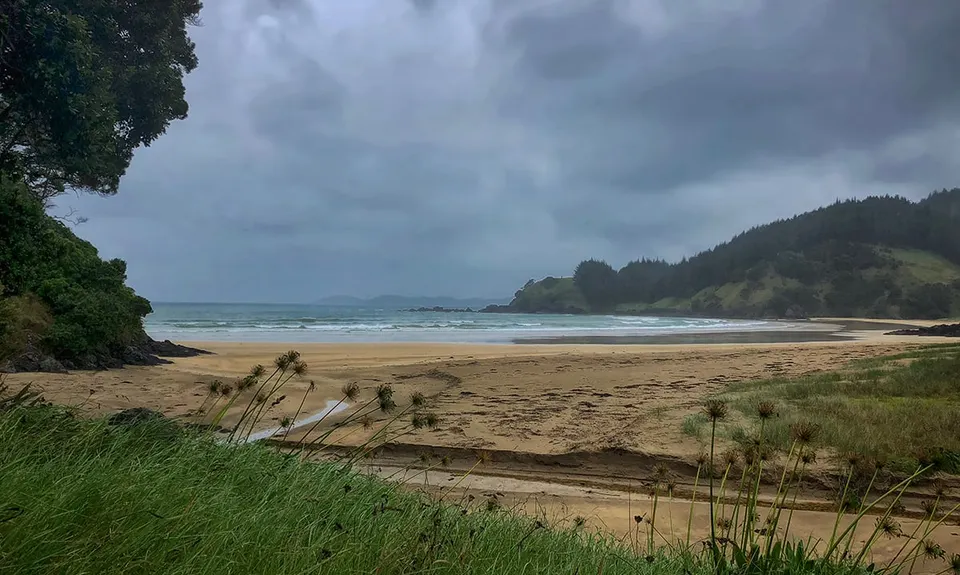 Whananaki Estuary and Bush, Northland