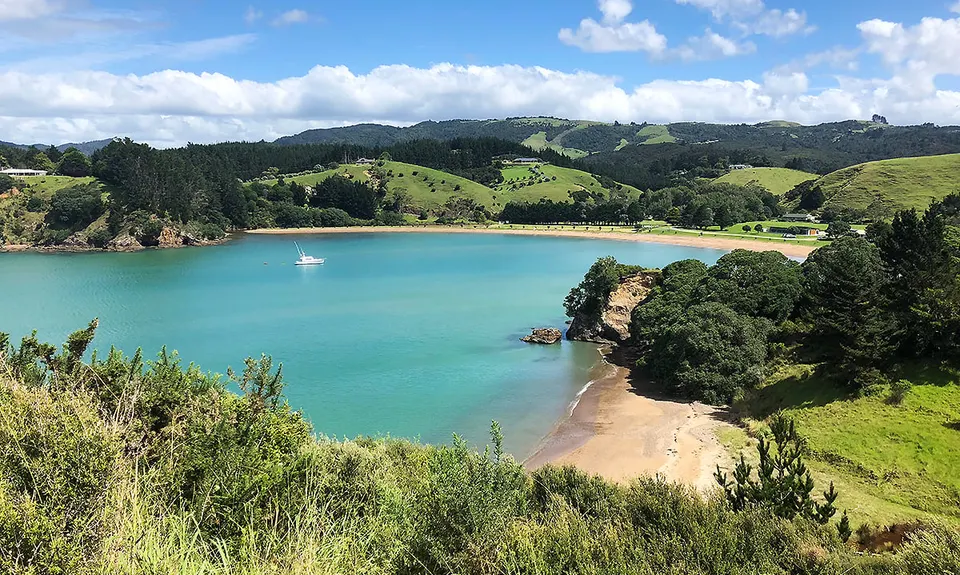 Mahinepua Peninsula Track, Northland