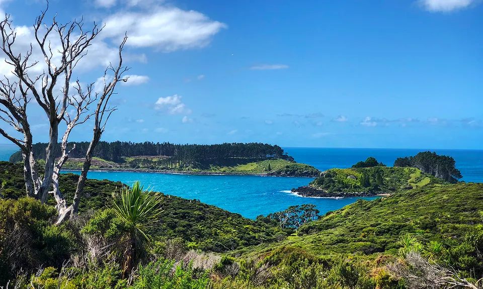 Mahinepua Peninsula Track, Northland
