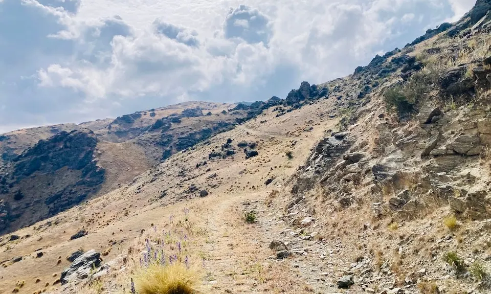 Devils Creek Bendigo, Otago