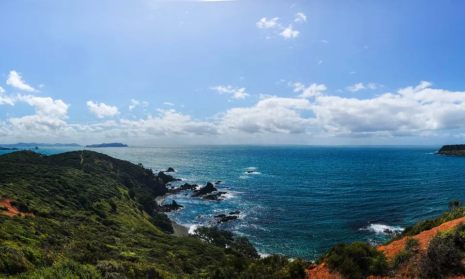 Mahinepua Peninsula Track, Northland
