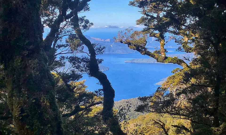 Stoked!, Marlborough