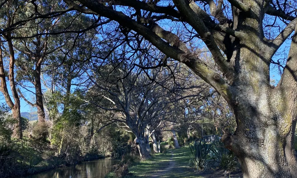Tai Tapu - Sacred Boundary, Canterbury