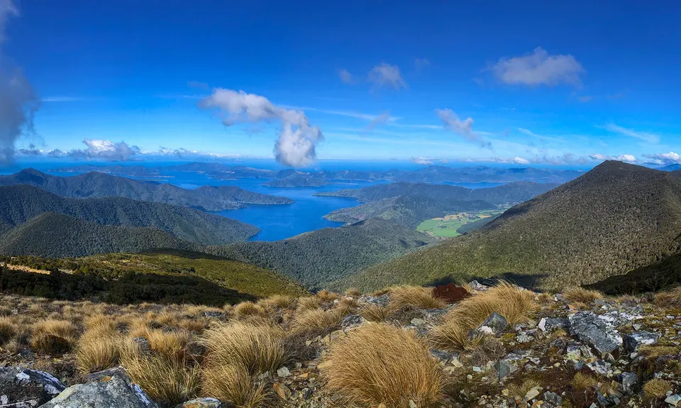 Stoked!, Marlborough