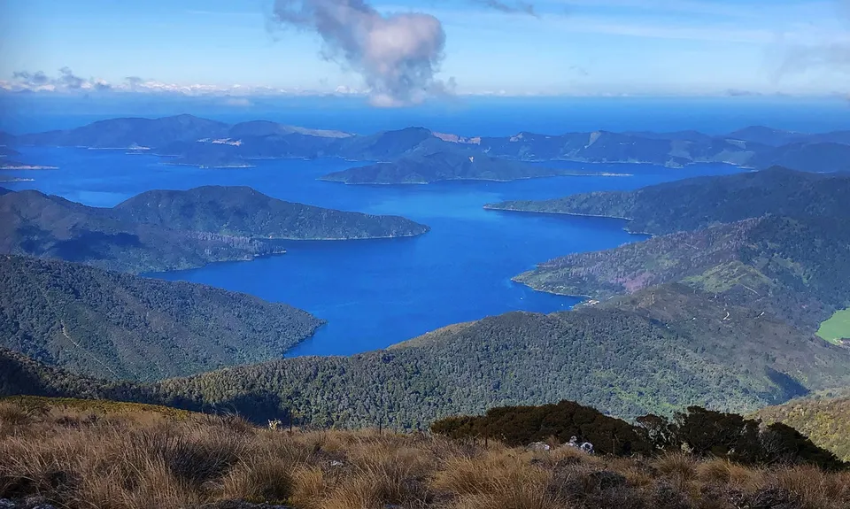 Stoked!, Marlborough