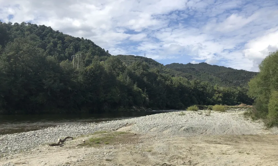 Kahikatea Trail, Tasman