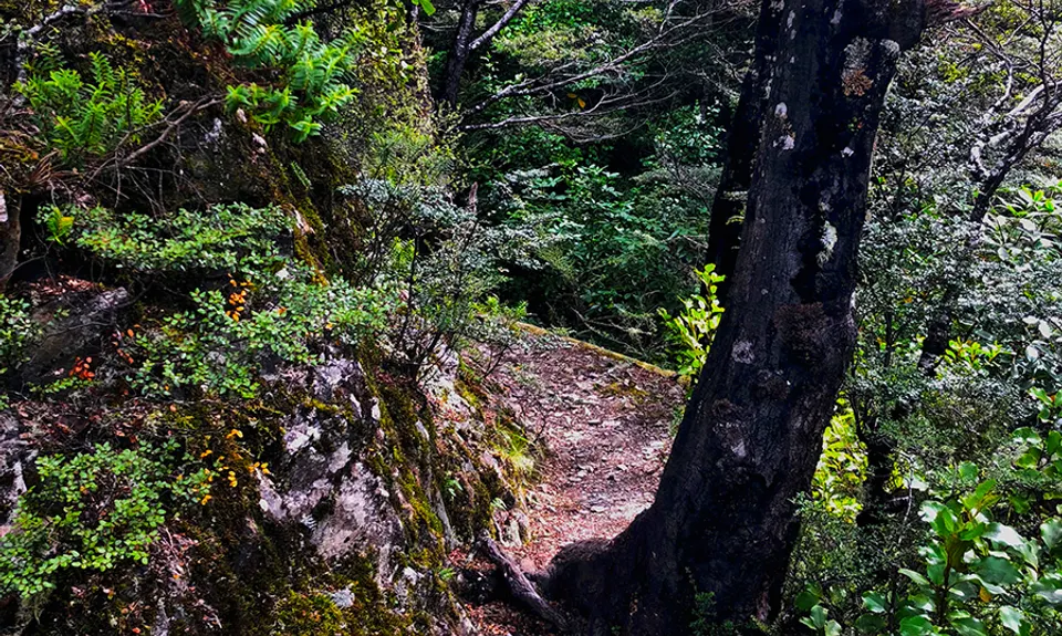 Mt Isobel , Canterbury