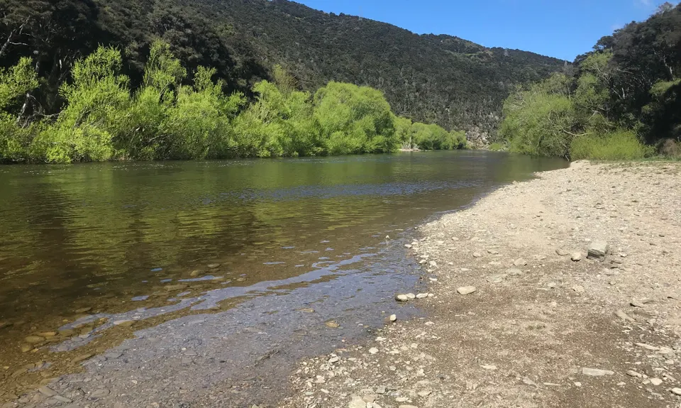 Along the Taieri, Otago