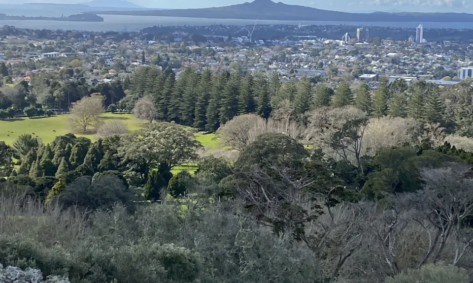 Maungakiekie/One Tree Hill