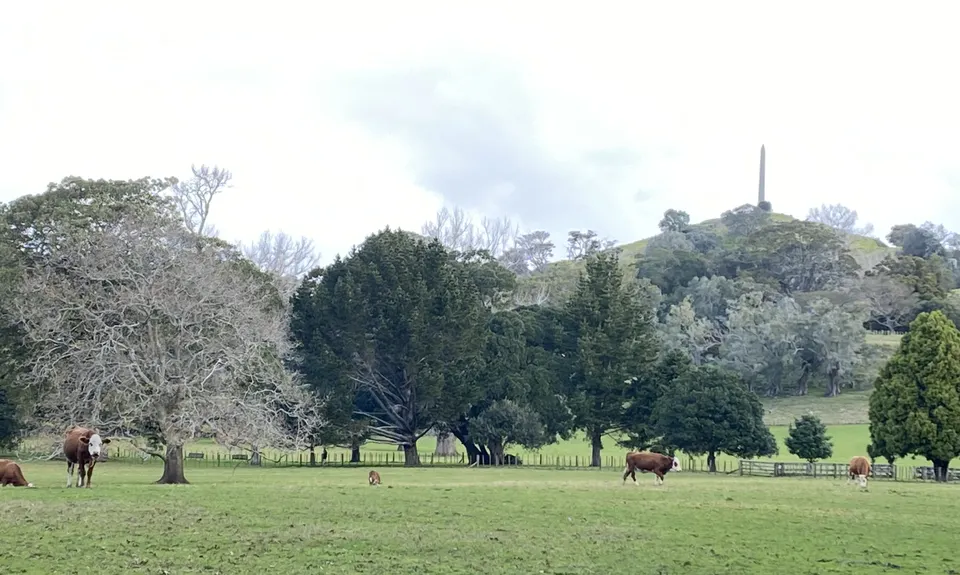 Maungakiekie Loop, Auckland
