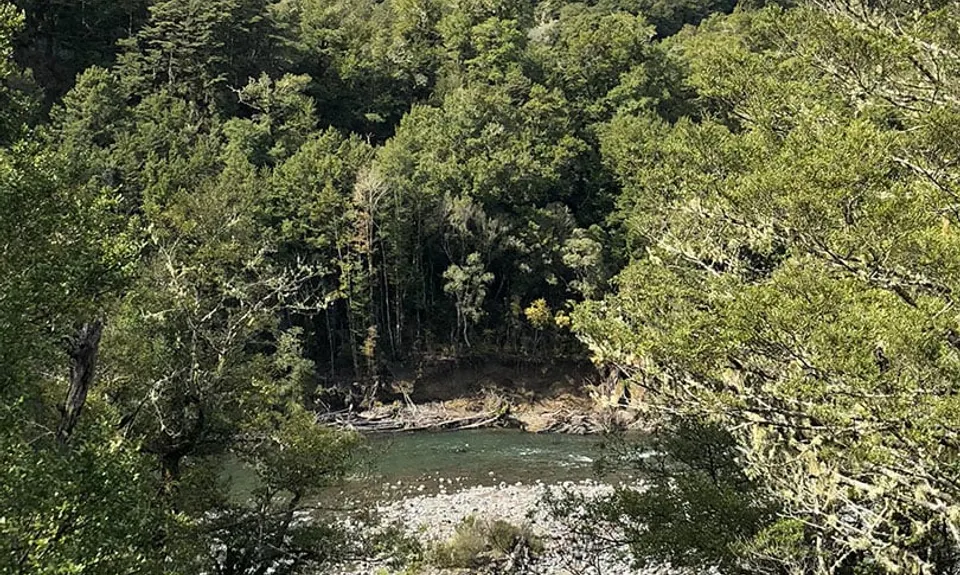 Pillars of Hercules , Waikato