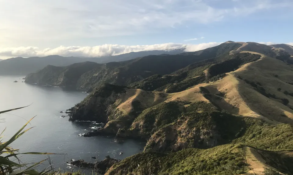 Top of the Coromandel, Waikato