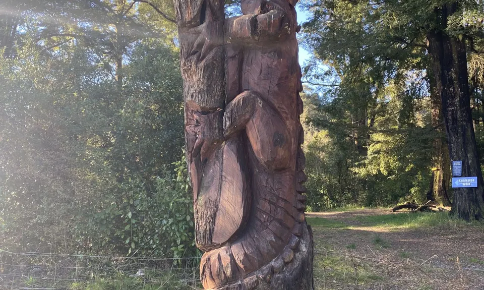 Kahikatea Trail, Tasman